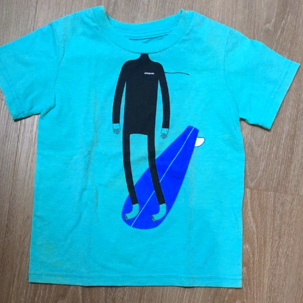 Patagonia Teal Graphic Tee
